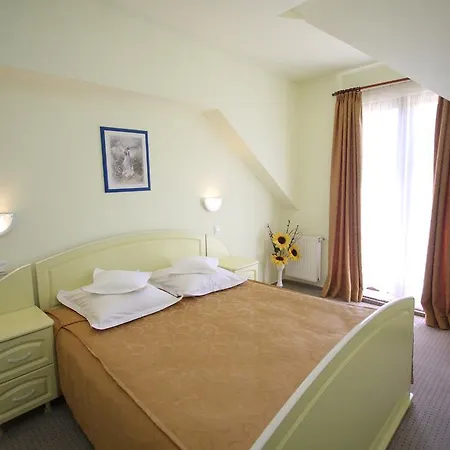 Hotel Ruia Poiana Brasov